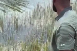 😂好兆头？詹姆斯和布朗尼此前打高尔夫碰到鳄鱼！